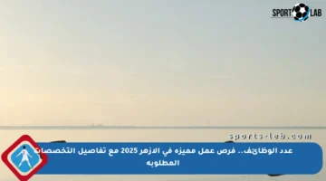 عدد الوظائف.. فرص عمل مميزة في الأزهر 2025 مع تفاصيل التخصصات المطلوبة